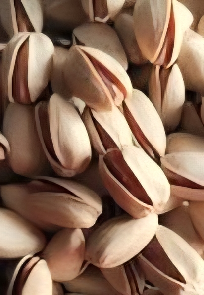 پسته اکبری انس ۲۲_۲۴ مناسب خرید و فروش عمده